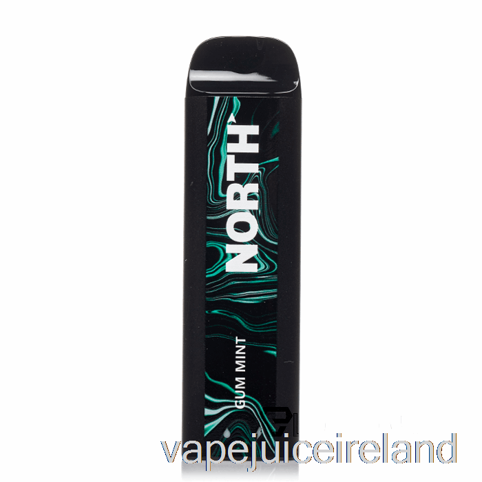 Vape Flavours North 5000 Disposable Gum Mint